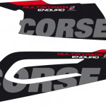Puig Hátsó lengővilla matrica DUCATI MULTISTRADA 1200 ENDURO/PRO/1260 ENDURO (2016-2019) kép