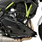 Hasidom, Puig KAWASAKI Z650 (2020-) kép