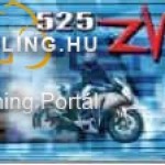 D.I.D 525ZVM2x110 kép