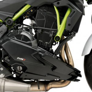 Hasidom, Puig KAWASAKI Z650 (2020-) kép