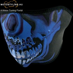 Blue Chrome Skull kép