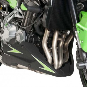 Hasidom, Puig KAWASAKI Z900 (2017-) kép