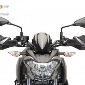 Kézvédő KAWASAKI Z650/Z900 (2017-) kép