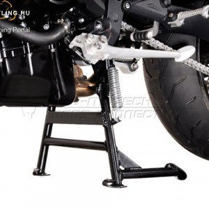 TRIUMPH Street Triple 675 (07-12) kép